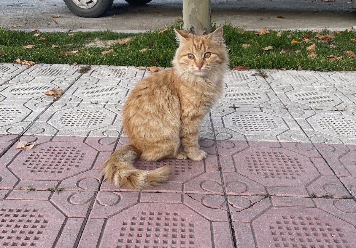 Ankaranın ne kadar soğuk olduğunu biliyorsunuz değilmi sıcacık bi yuva