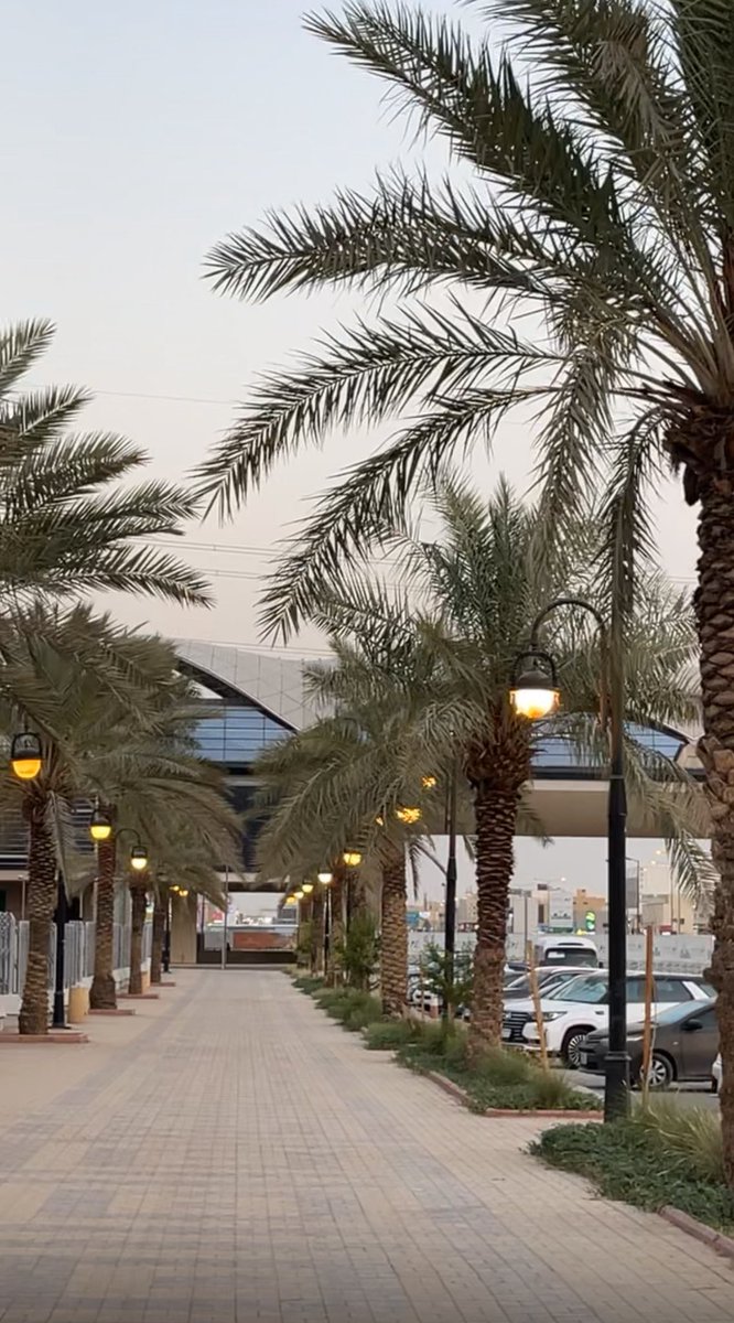 Fai_SW1's tweet image. خِتام ثالث فصل دراسيّ من رحلة الماجستير، درب أثمر بمشاريع قيّمة، ومعارف متألقة، والكثير من الدعم والتقدير؛ فالحمد لله حمدًا كثيرًا 🤍