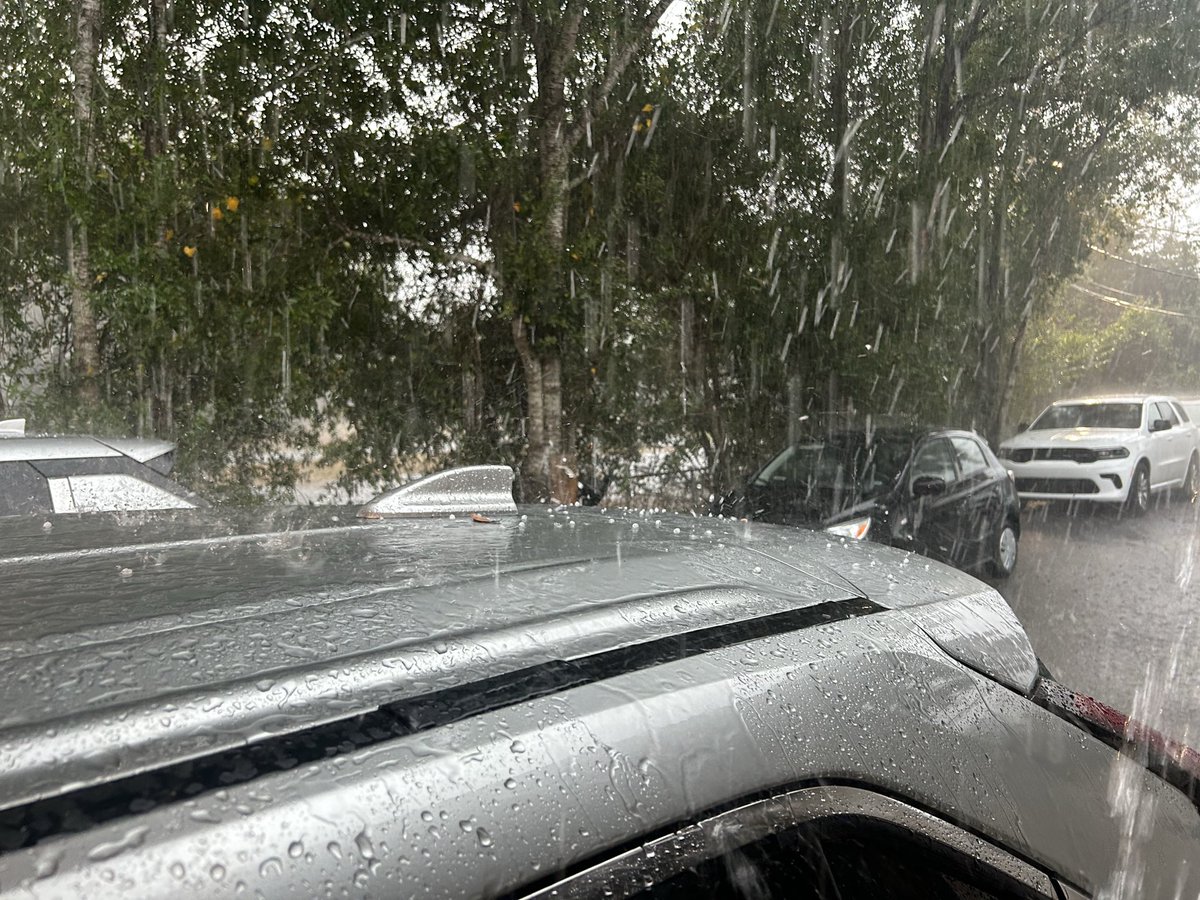 nwfltracking's tweet image. Hail falling in Milton

@NWSMobile @rzweather