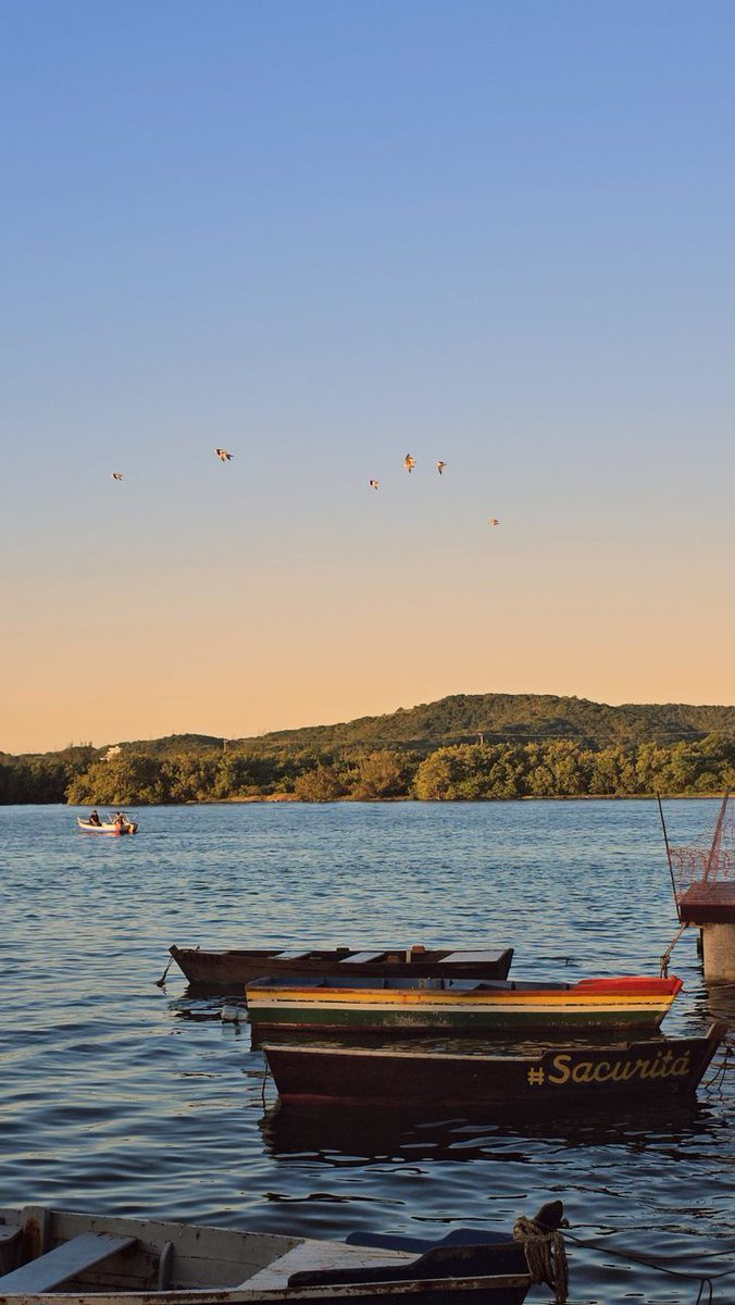 Blue. (@bluedreamvibes) on Twitter photo 