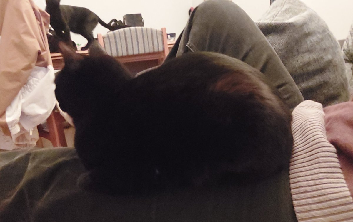 2chelines's tweet image. habeis visto a una tia más esférica?