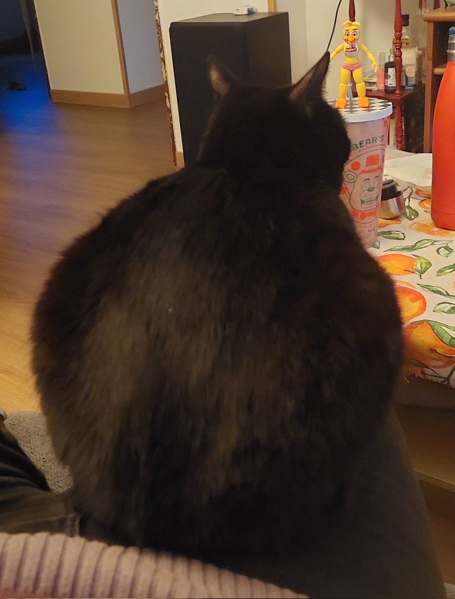 2chelines's tweet image. habeis visto a una tia más esférica?