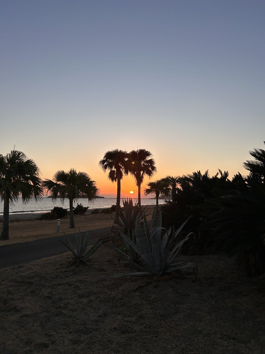 自分としては初日の出
海辺のキャンプは風強くていやや…
青島神社に初詣行きますん