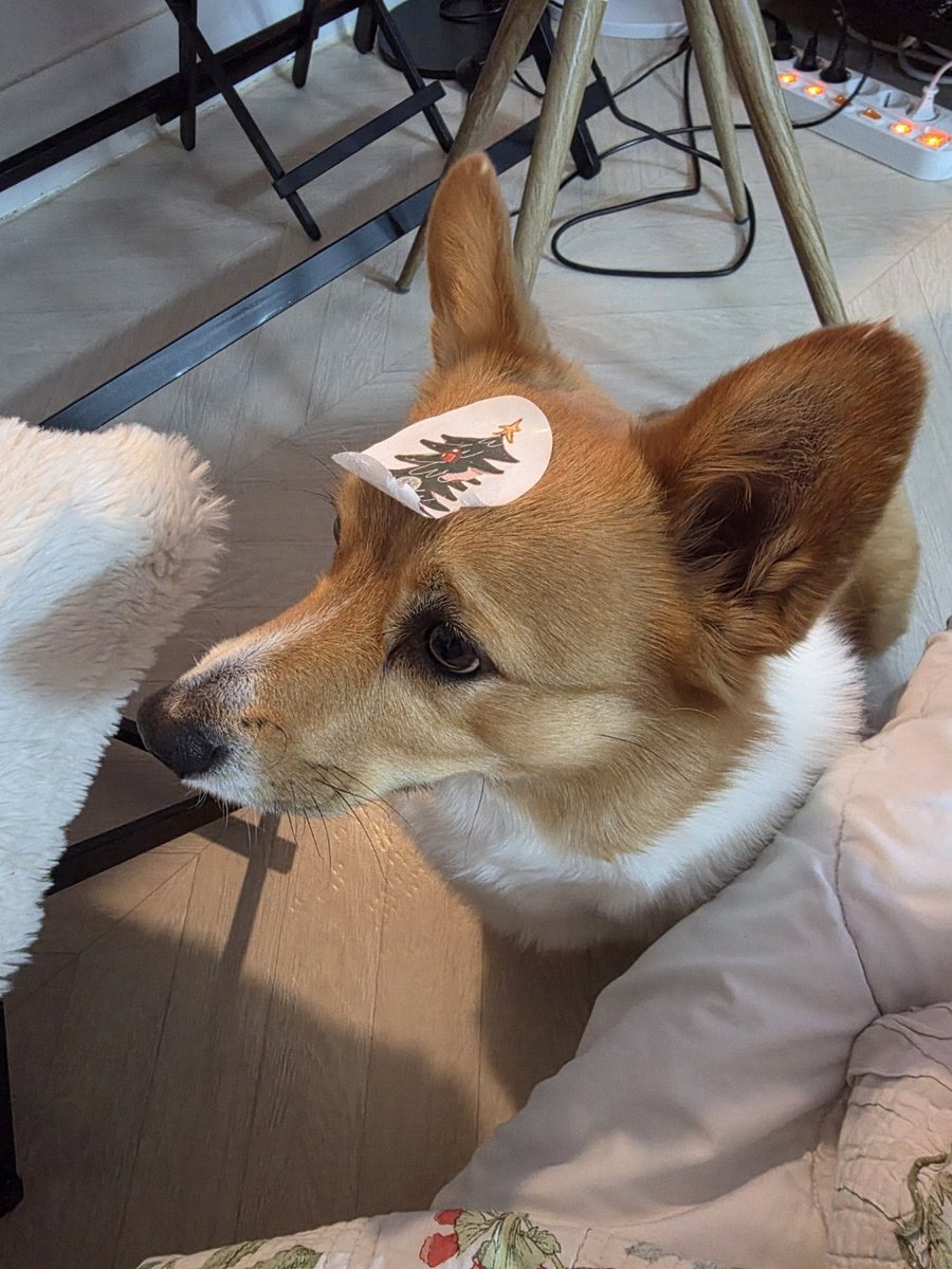 늦었지만 남겨진 자들의 
크리스마스 짤