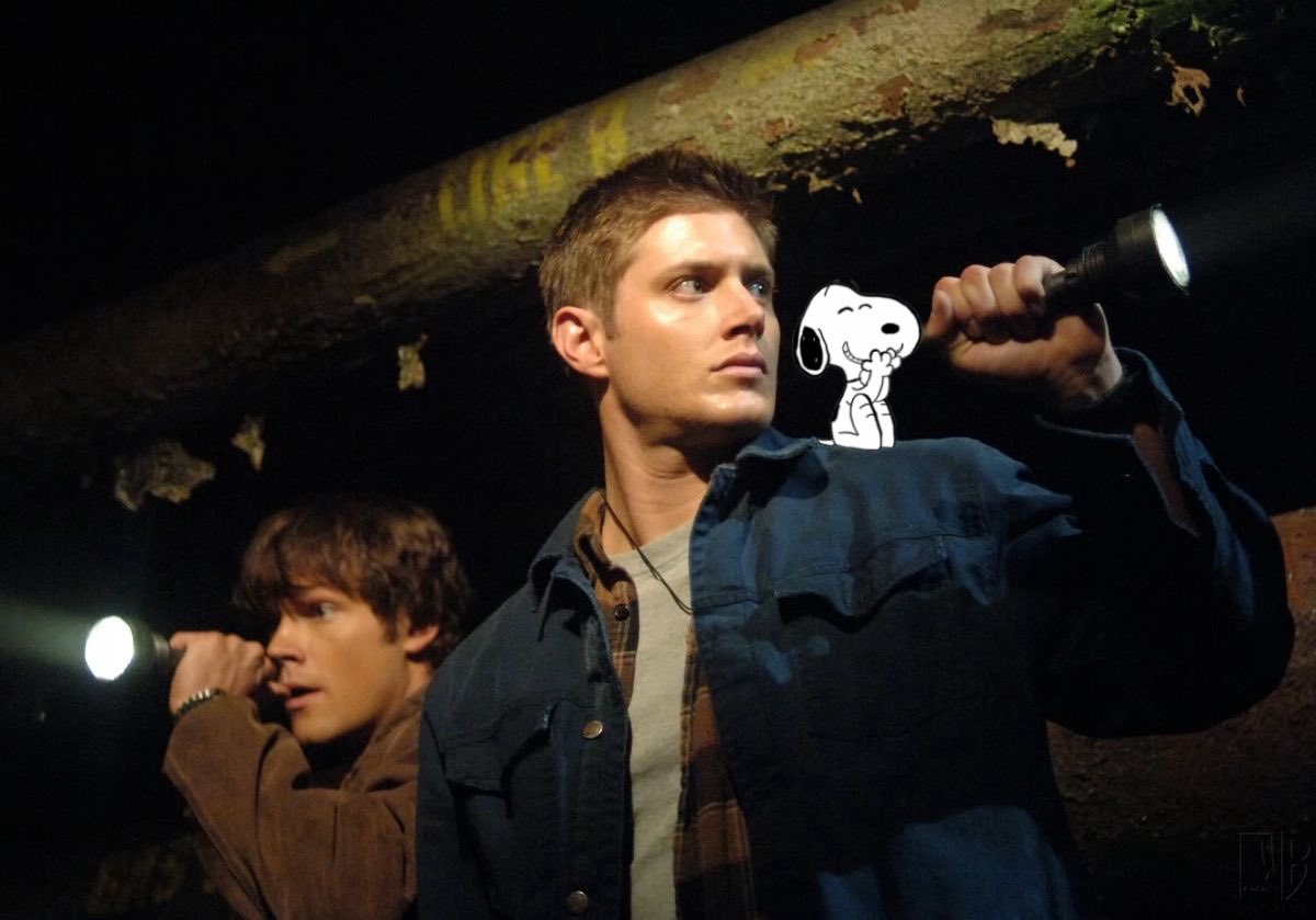 deanshq's tweet image. 