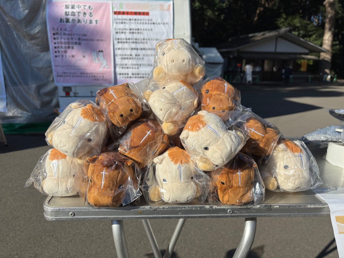 ひろみ (@hiromimiszn) / Posts / X