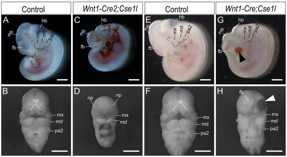 Paul P. R. Iyyanar tweet media
