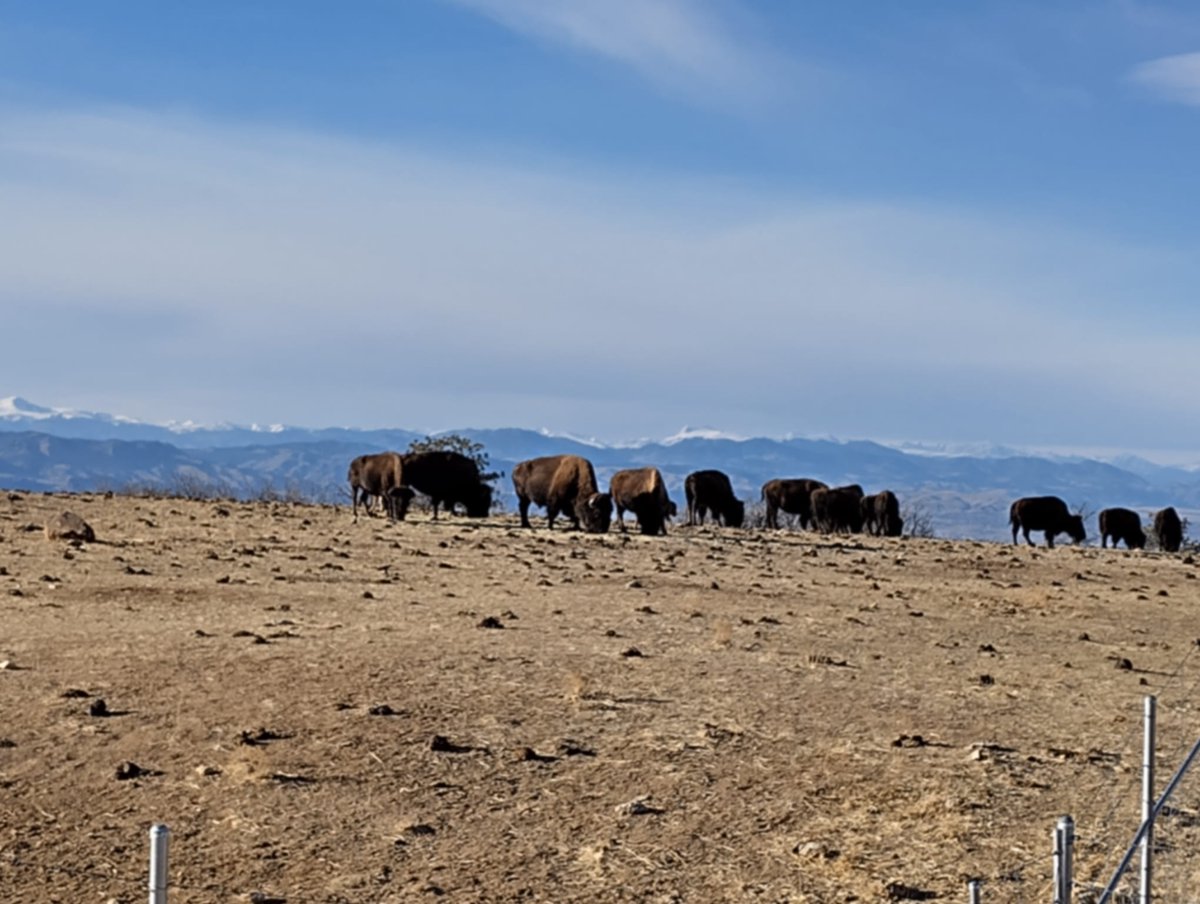 Stefania Passamonte tweet media