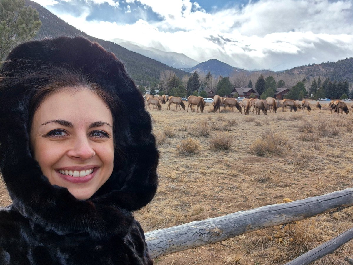 Stefania Passamonte tweet media