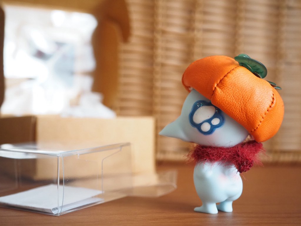 2026お迎えはこの子からスタート🐤🩵
母の誕生日の日にやってきた~🍊

#kumukuku