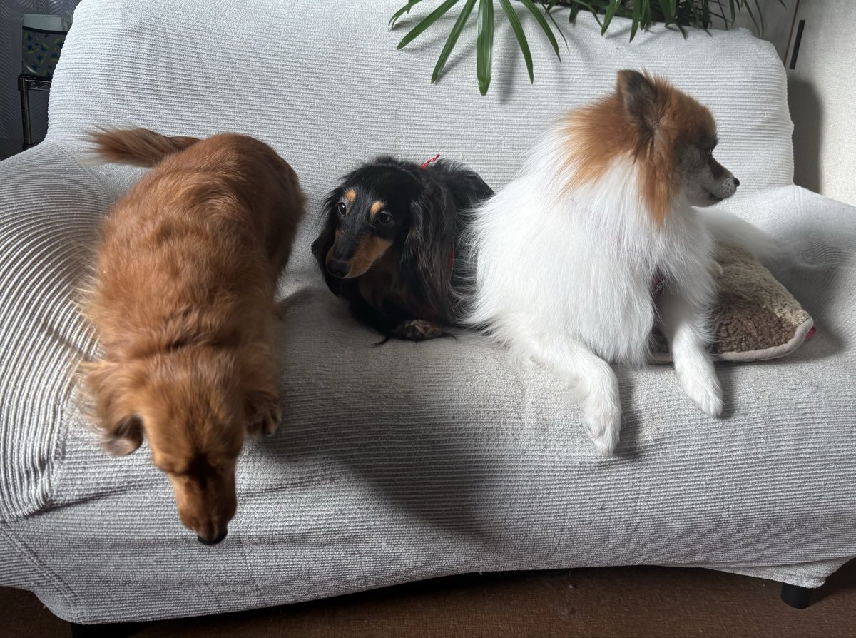 はいチーズ🧀 全然こっち見ないやないかーい🤣