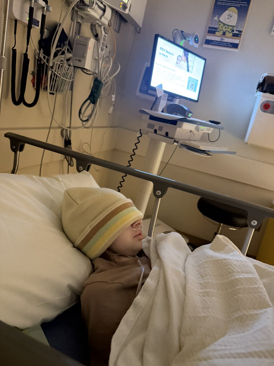 Rebecca Perrotto tweet media