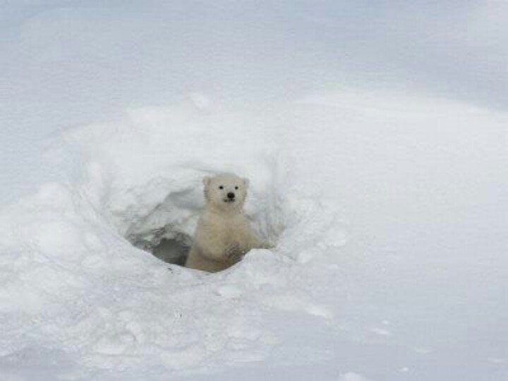 legitimatetiger's tweet image. and i will put myself out there and be open to new experiences no matter how daunting they might seem at first