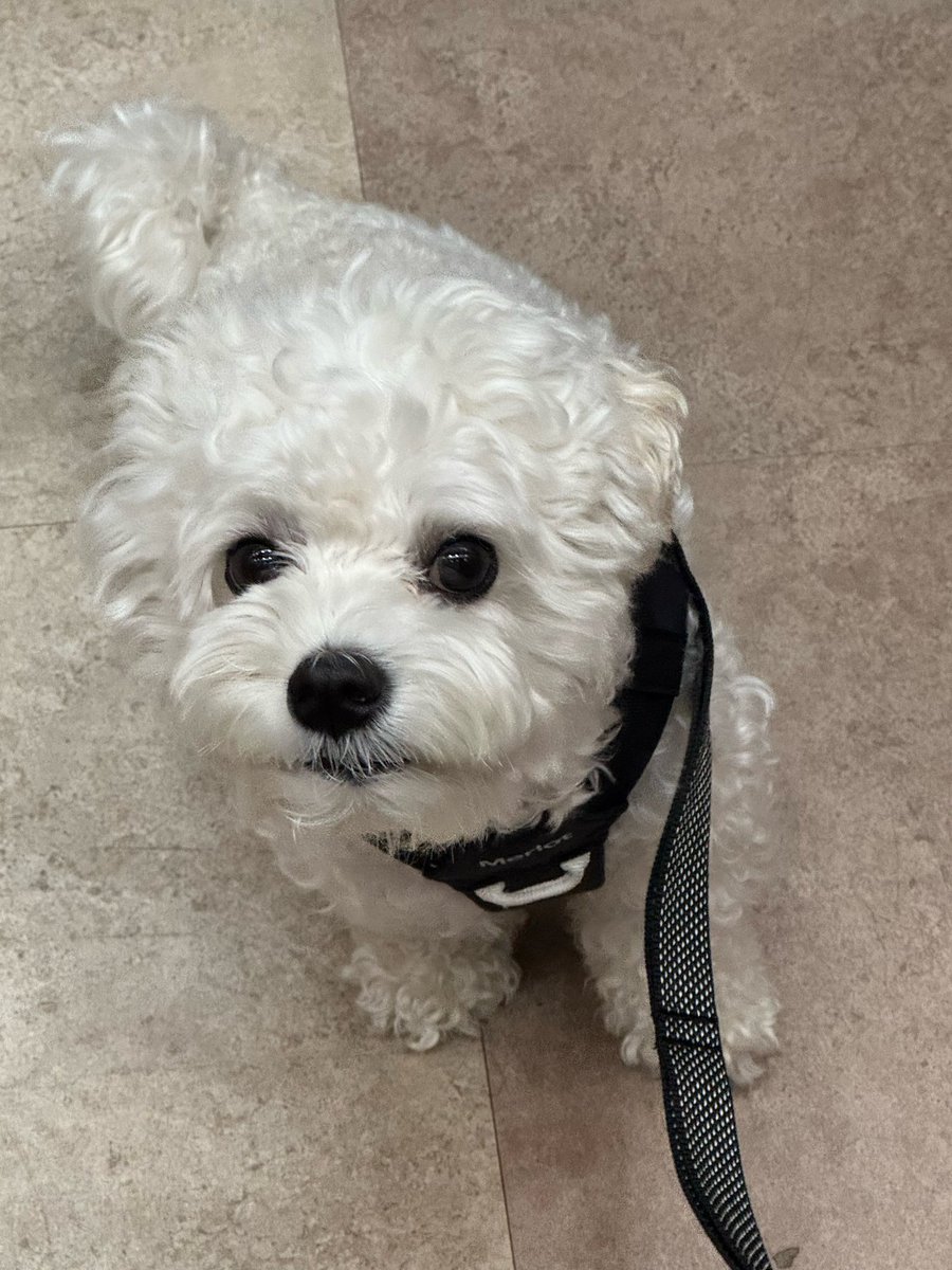 설이 생일축하해🤍 항상 건강하고 행복하자☘︎