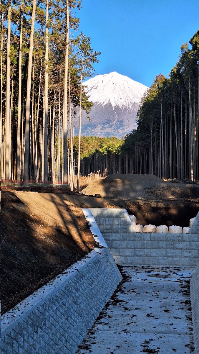 根間健太郎@静岡 tweet media