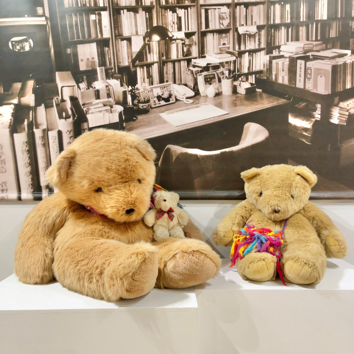 🌅あけましておめでとうございます🌅
本年は1/4(日)より開館いたします。
明日1/5(月)は休館日となりますのでご注意ください。
辻邦生が愛蔵したクマのぬいぐるみ達も皆様のお越しをお待ちしております🧸

企画展「辻邦生生誕100年　辻邦生と辻佐保子　ふたりが見つめた光」
museum-kiyosu.jp/rental_gallery…