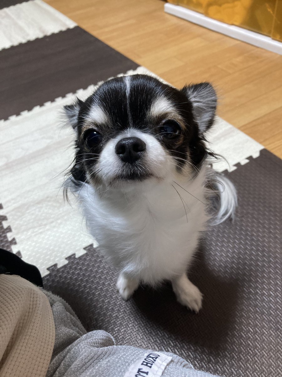 ̗Good morning 🌈ᵕ̈ 朝バタバタした山田;::(((´≖̄̆Д̿≖̄̆)Д̿≖̄̆