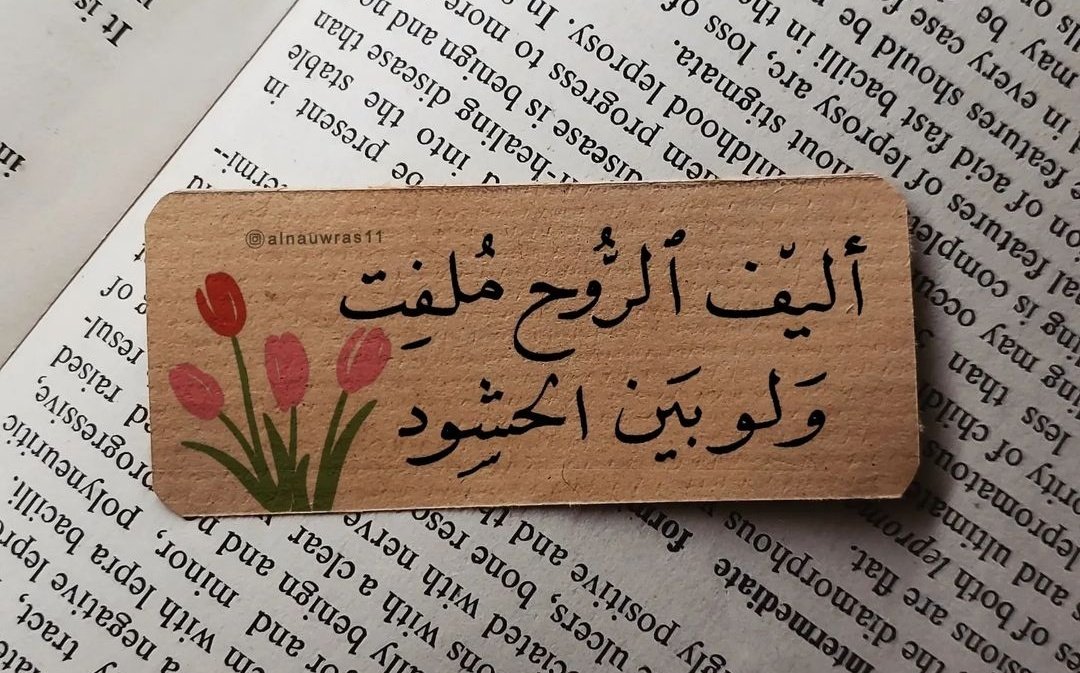 0bblb's tweet image. أليف الـڕُّوحِ مُلفت🩷🦋