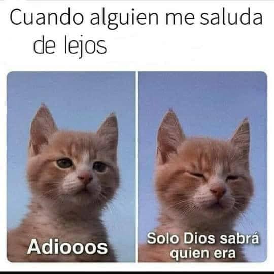 MsCiencia2's tweet image. Siempre mi ceguera 🤓