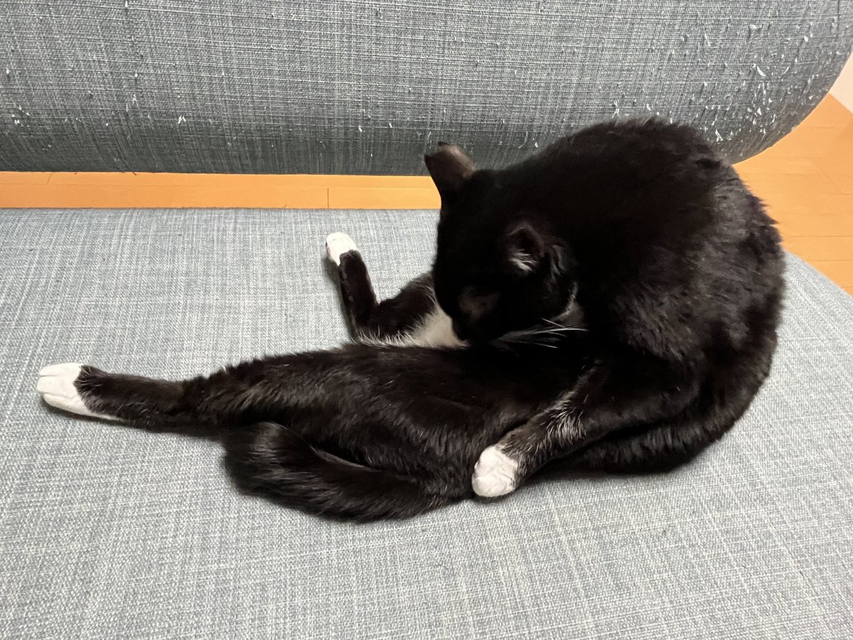 みるきー (@milkyma2) / Posts / X