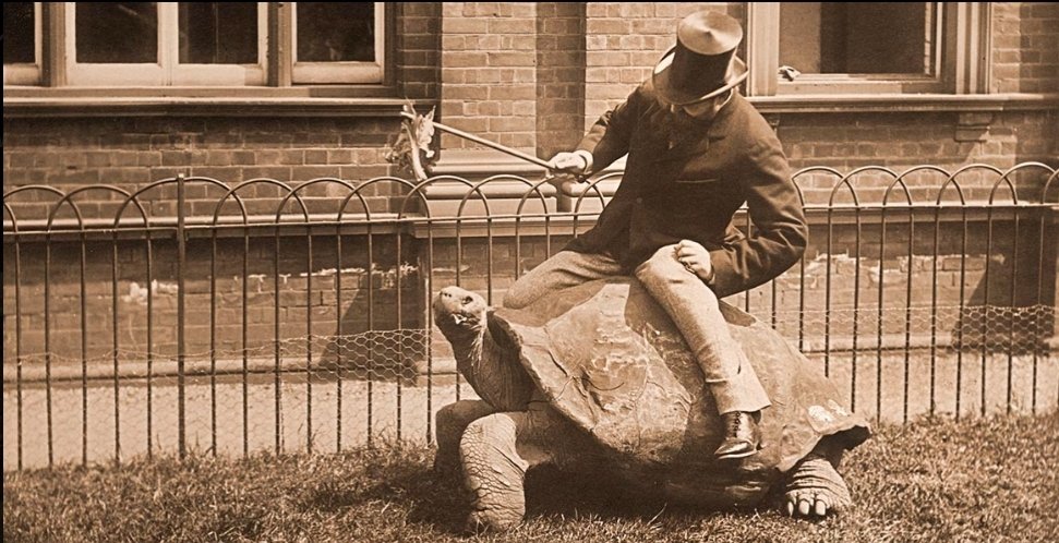 Red Pill USA tweet media