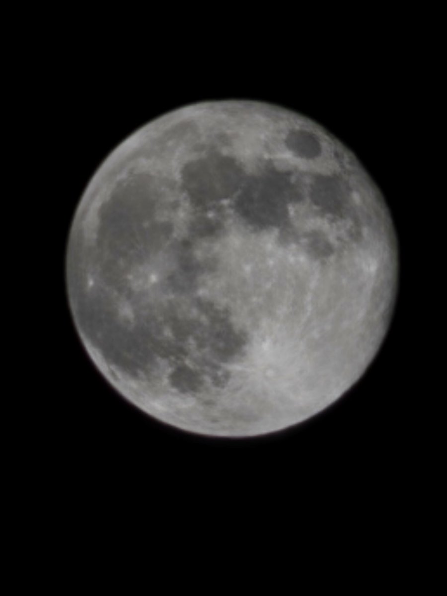 SmurfMetaX's tweet image. Just finished a midnight Sauna &amp;amp; Icebath session underneath the @wolfswapwolfies Supermoon. Feel amazing, and I'm feeling even more Wolfish now as I lie here in bed. 
Instead of a GN, its an #AWOO from me.