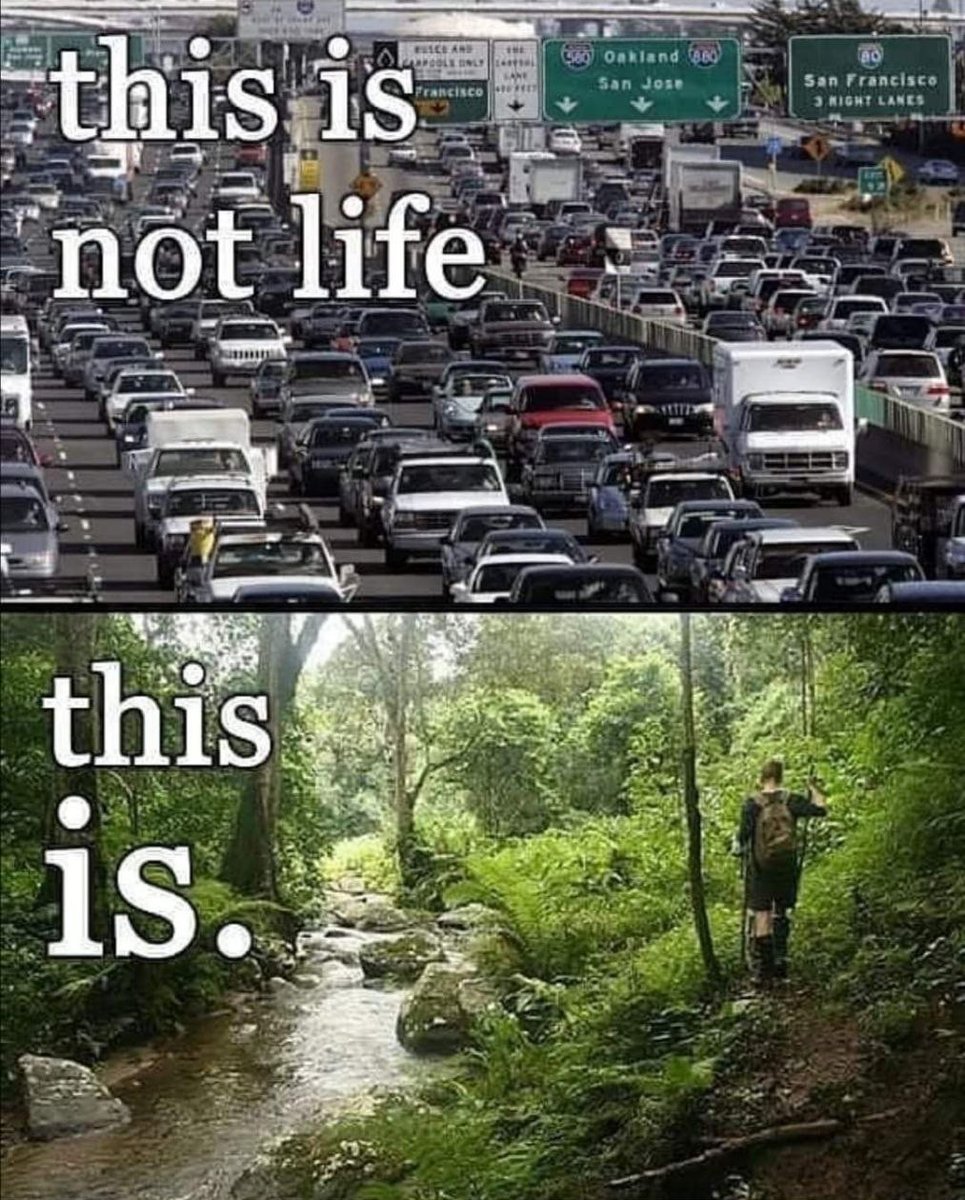 healthbot tweet media