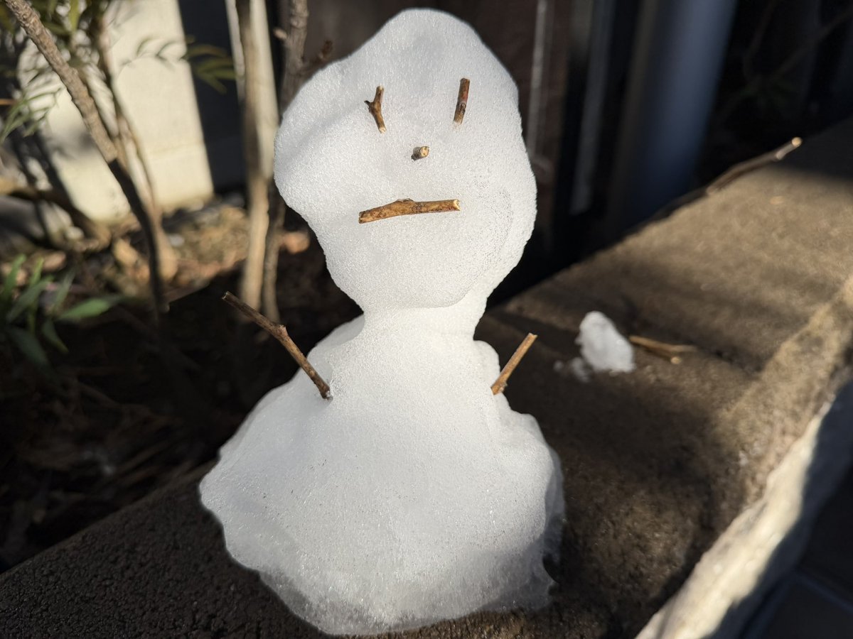 おはようございます⛄️