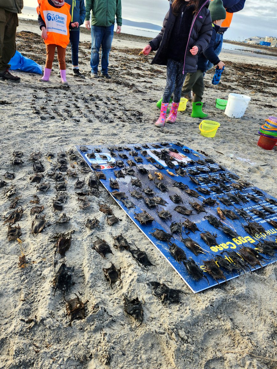 Sandlarks tweet media