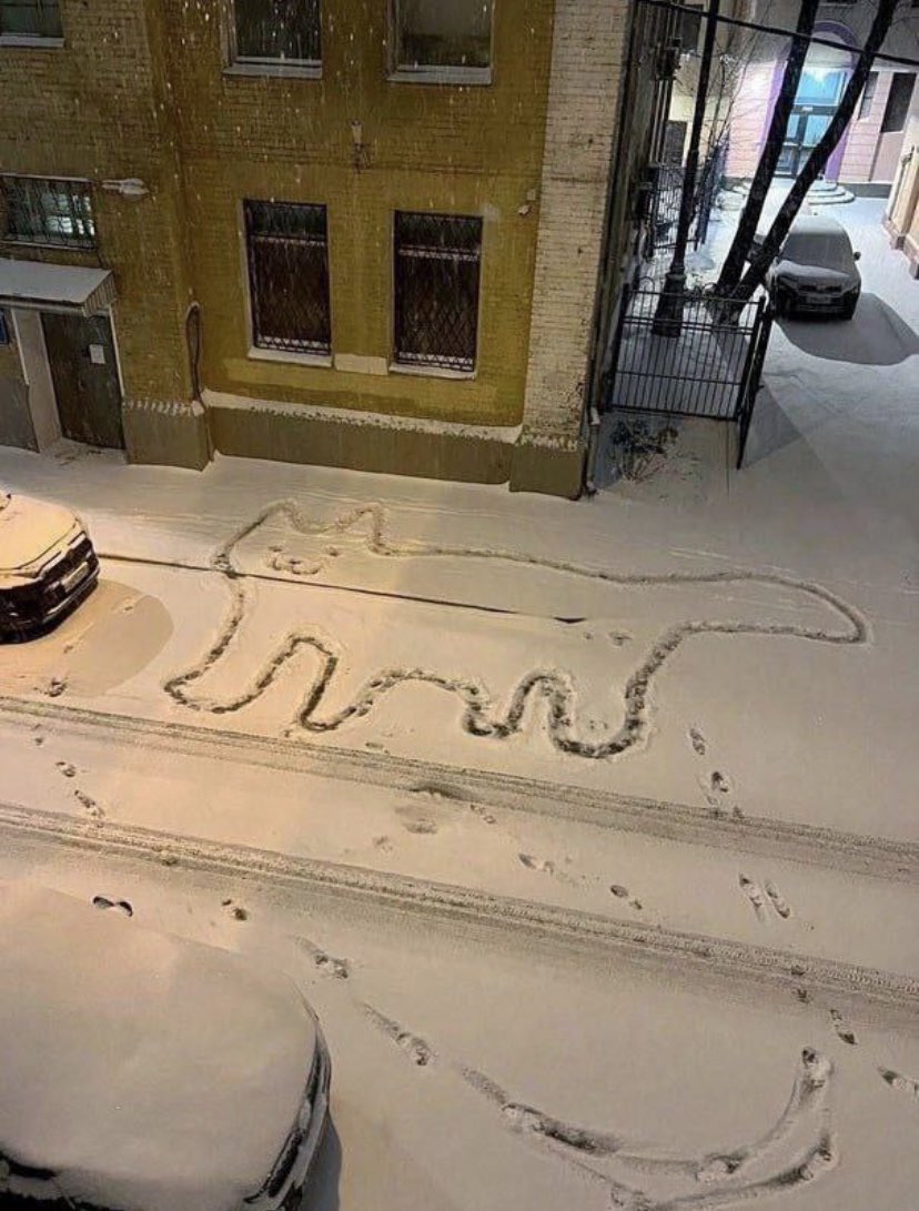Доброй ночи, Петербург!