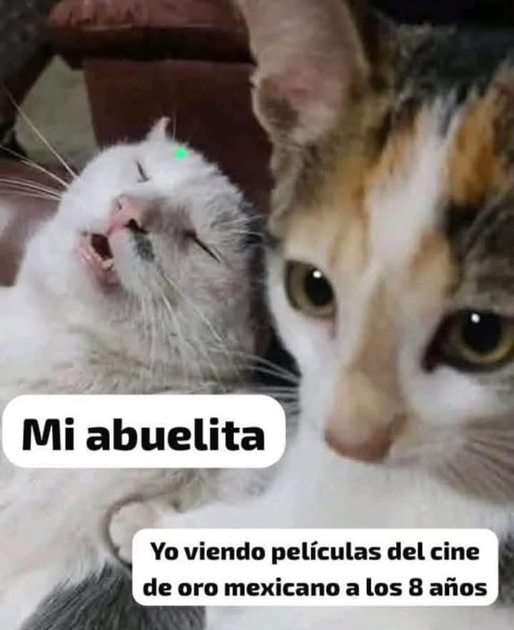 DiloConGatitoz's tweet image. 