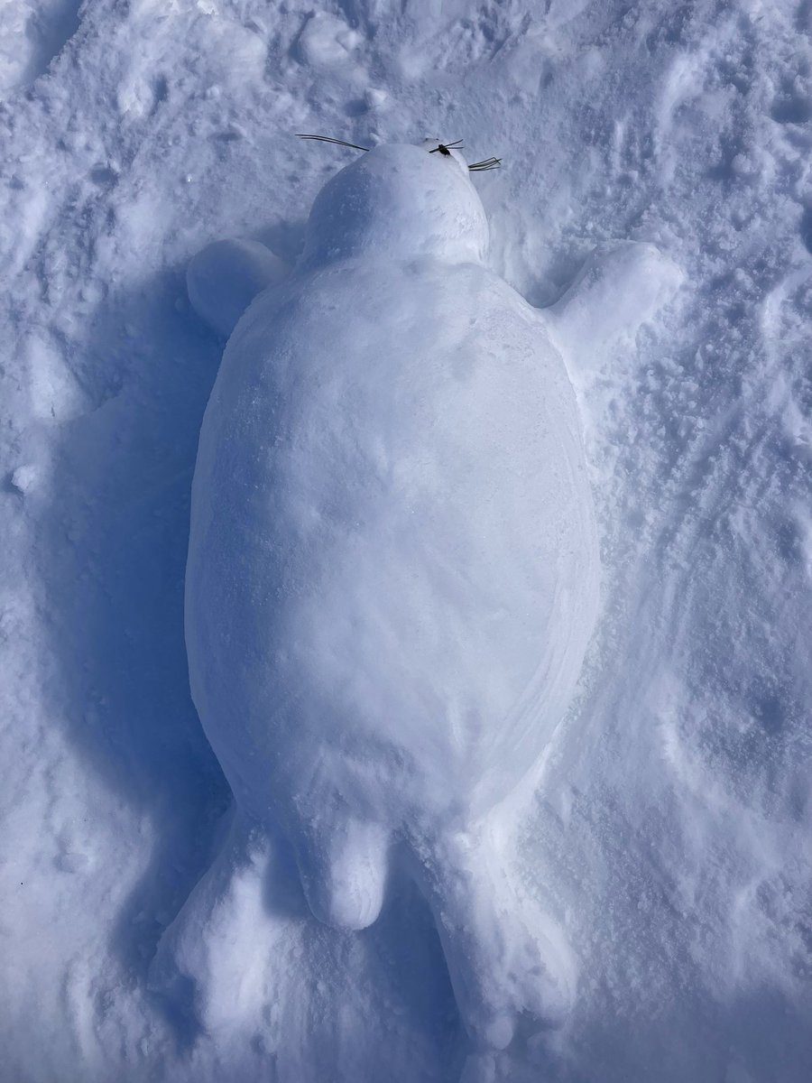 I’m sad he melted.. my homunculus