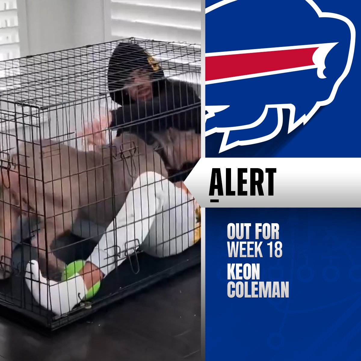 NFL Drop tweet media