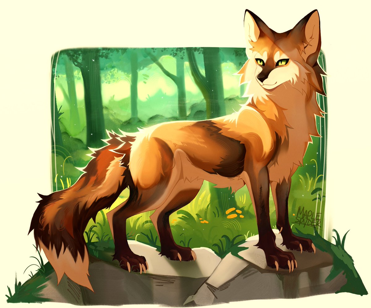 maple / jackal tweet media