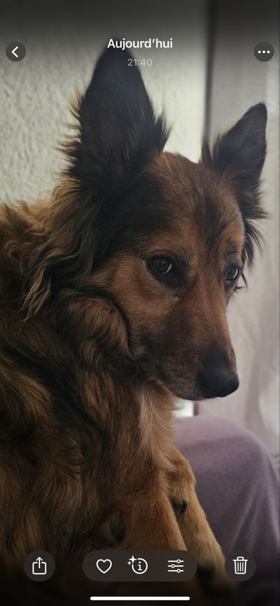 casperledim's tweet photo. comment fait-il pour être si beau et si gentil ? #petitfils https://t.co/rb7NXxqn2m