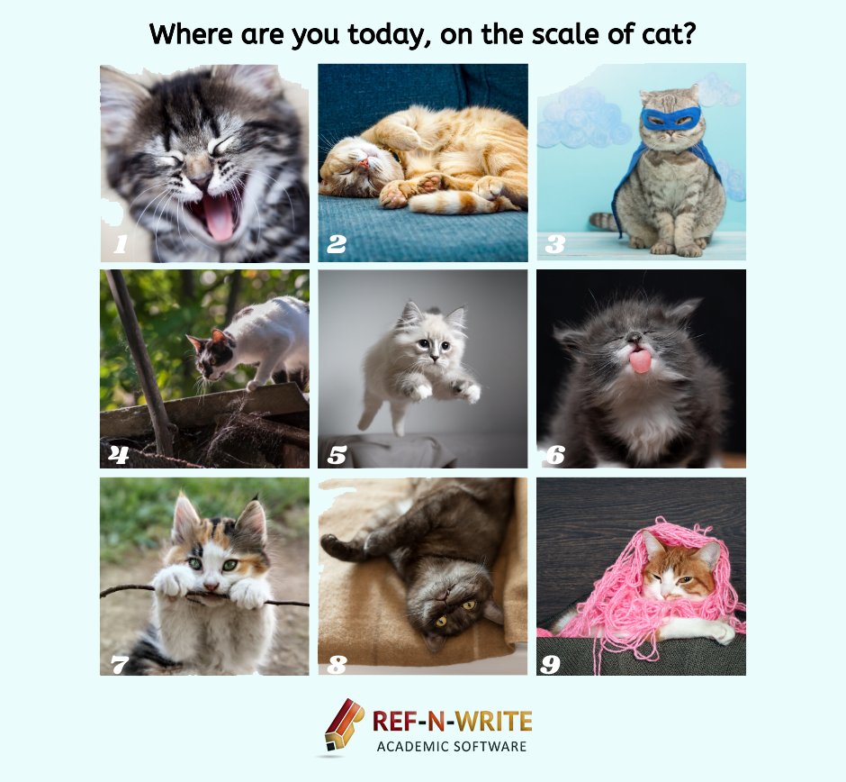 🐱 Where are you today on the academic cat scale?

Be honest — are you:
 1 = “Why am I awake?”
 5 = “Trying to be productive”
 9 = “Completely tangled in deadlines” 😭

Research, writing, and deadlines can hit differently every day — and that’s okay.