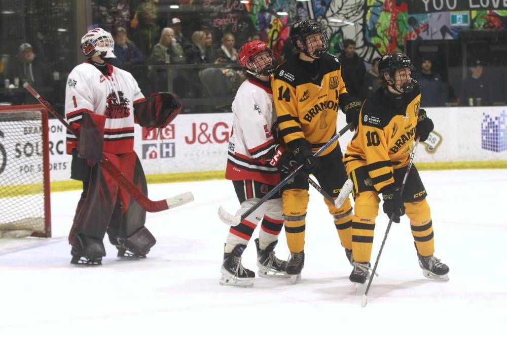 thebrandonsun's tweet photo. The Southwest Cougars don’t need to be reminded the race for playoff positioning in the Manitoba U18 AAA Hockey League won’t be getting any easier coming down the stretch. https://t.co/hNAd4pdFYi #bdnmb https://t.co/aPbVWEya6c