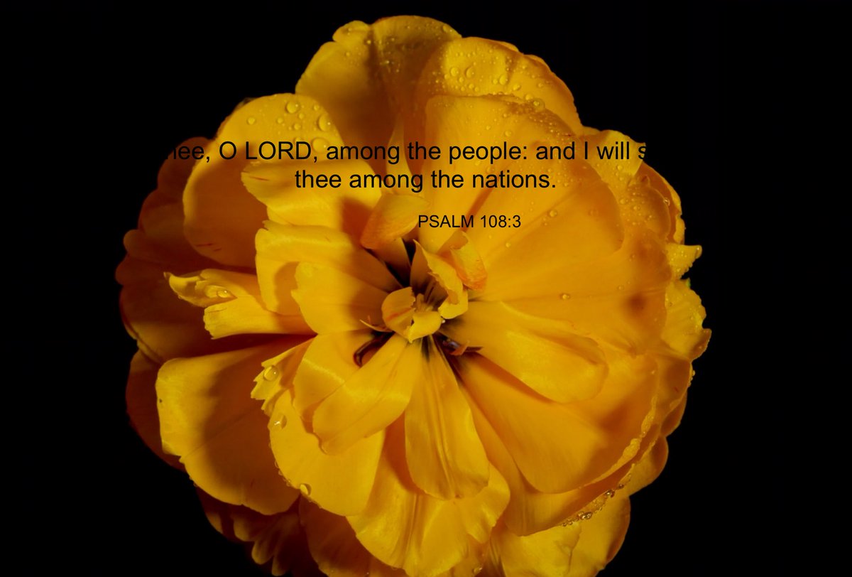 WVBalrog's tweet image. 