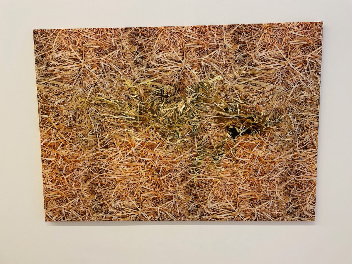 Vera Palme @ Galerie Buchholz