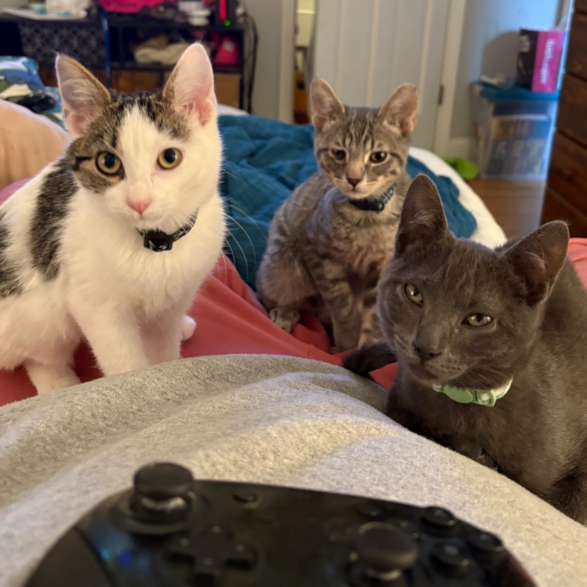 peachofababy's tweet image. I am the luckiest person on earth I think