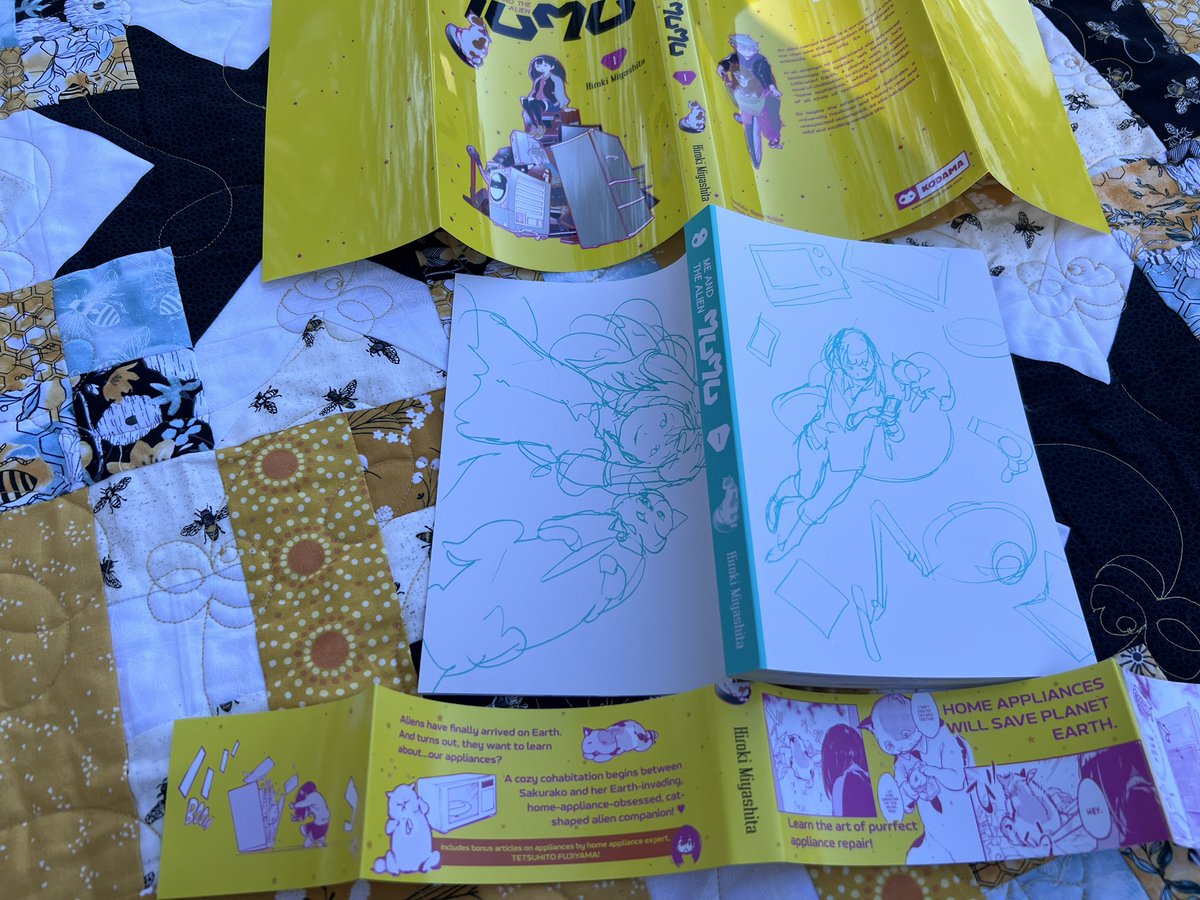 Here’s the book without jacket, the obi and the dust jacket (taken while out on a picnic)