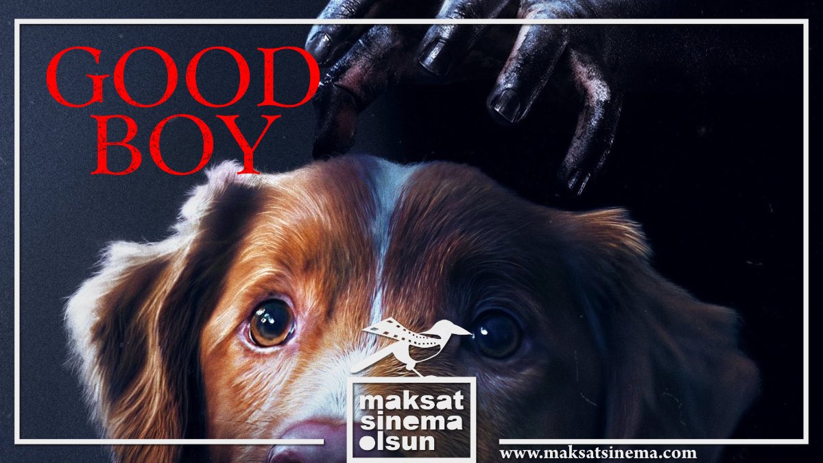🎦 FİLM ELEŞTİRİSİ 🖋️ Bir Köpeğin Gözünden Korku: “GOOD BOY” (2025) 🐕👻🏡 maksatsinema.com/2026/01/03/bir… | #maksatsinema