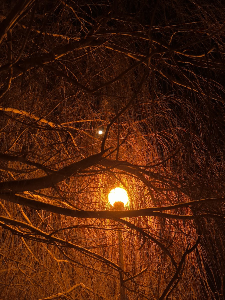 bobinho126 🐇 (@bobinho126) on Twitter photo 