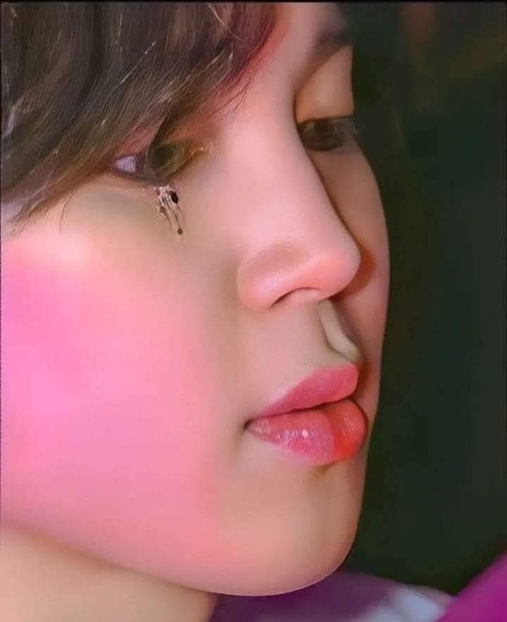 PJM지민 tweet media