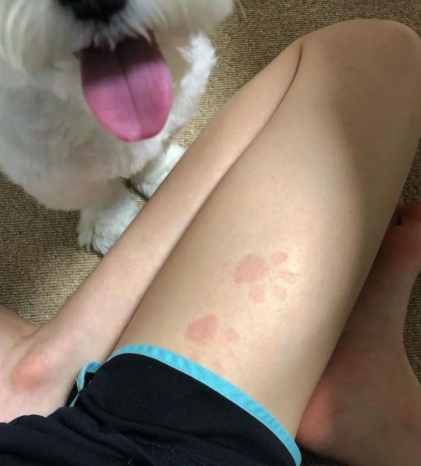 twaniimals's tweet image. 