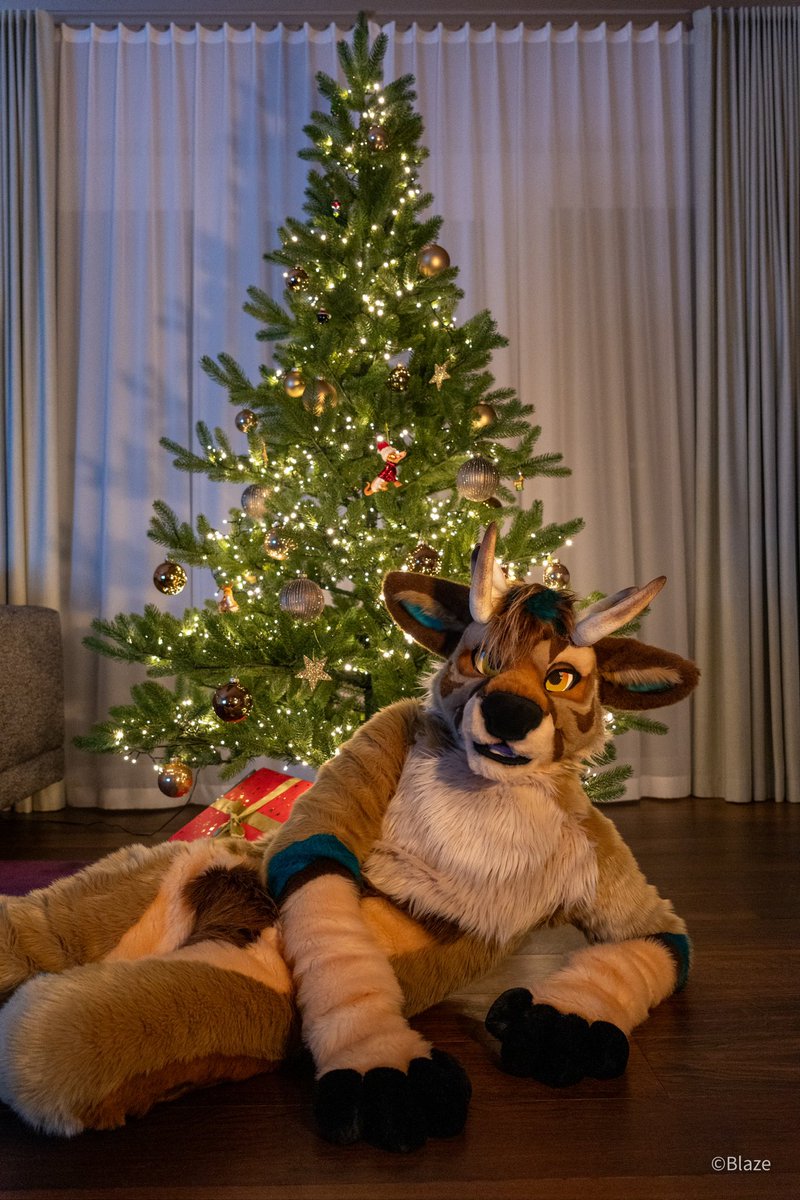 JakeTTiger's tweet image. I wish everyone a happy new year and all the best for 2026! 🍾🥂
Spread happiness to the world ☺️
🦌🪡@MadeFurYou