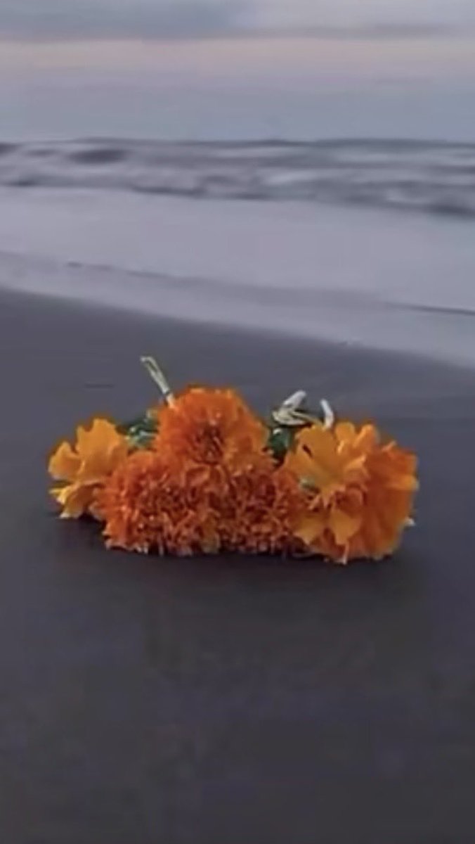 الشهد👑 tweet media