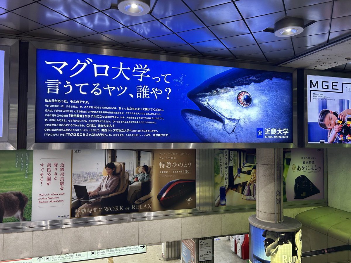 えびち🍤 (@RS36A) / Posts / X