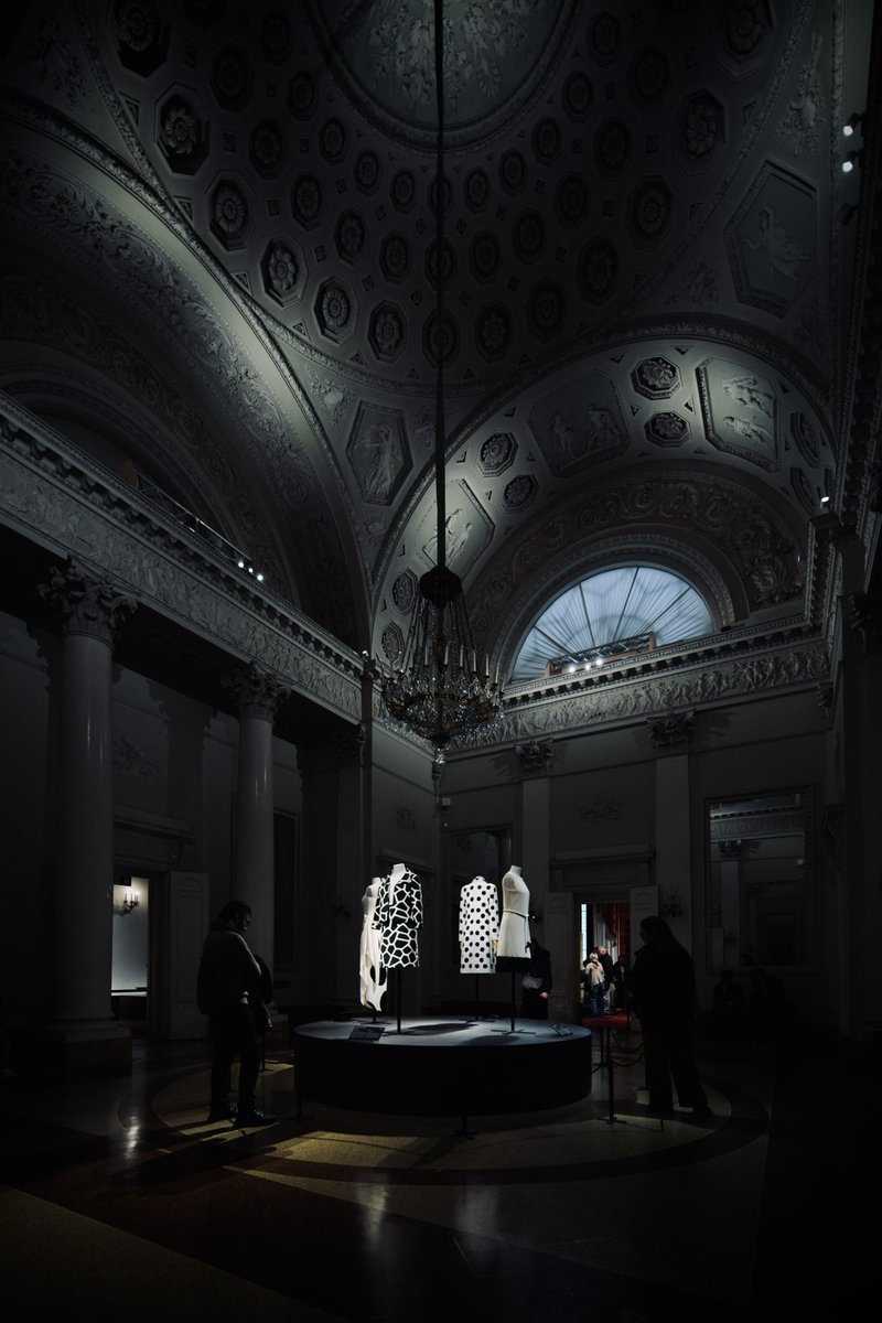 시청앞 사진관 tweet media