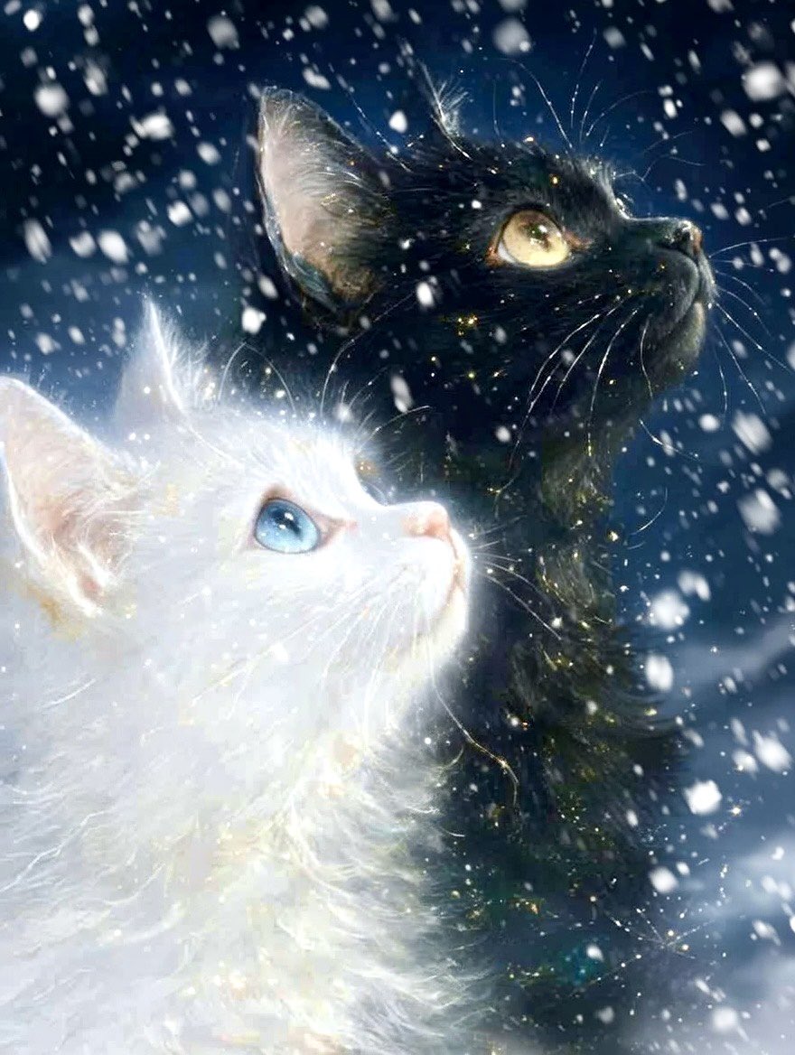 ロロア (@imodaisukisugi) on Twitter photo 